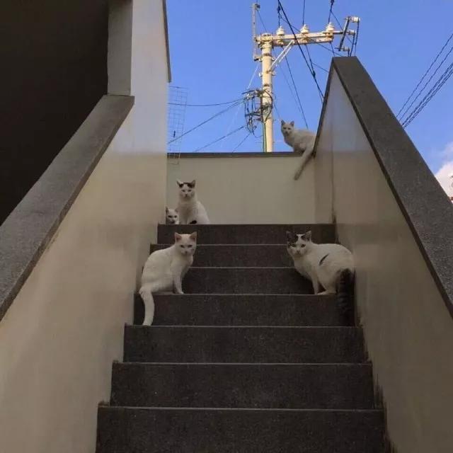 朋友圈相册封面图怎么关闭,朋友圈相册封面图