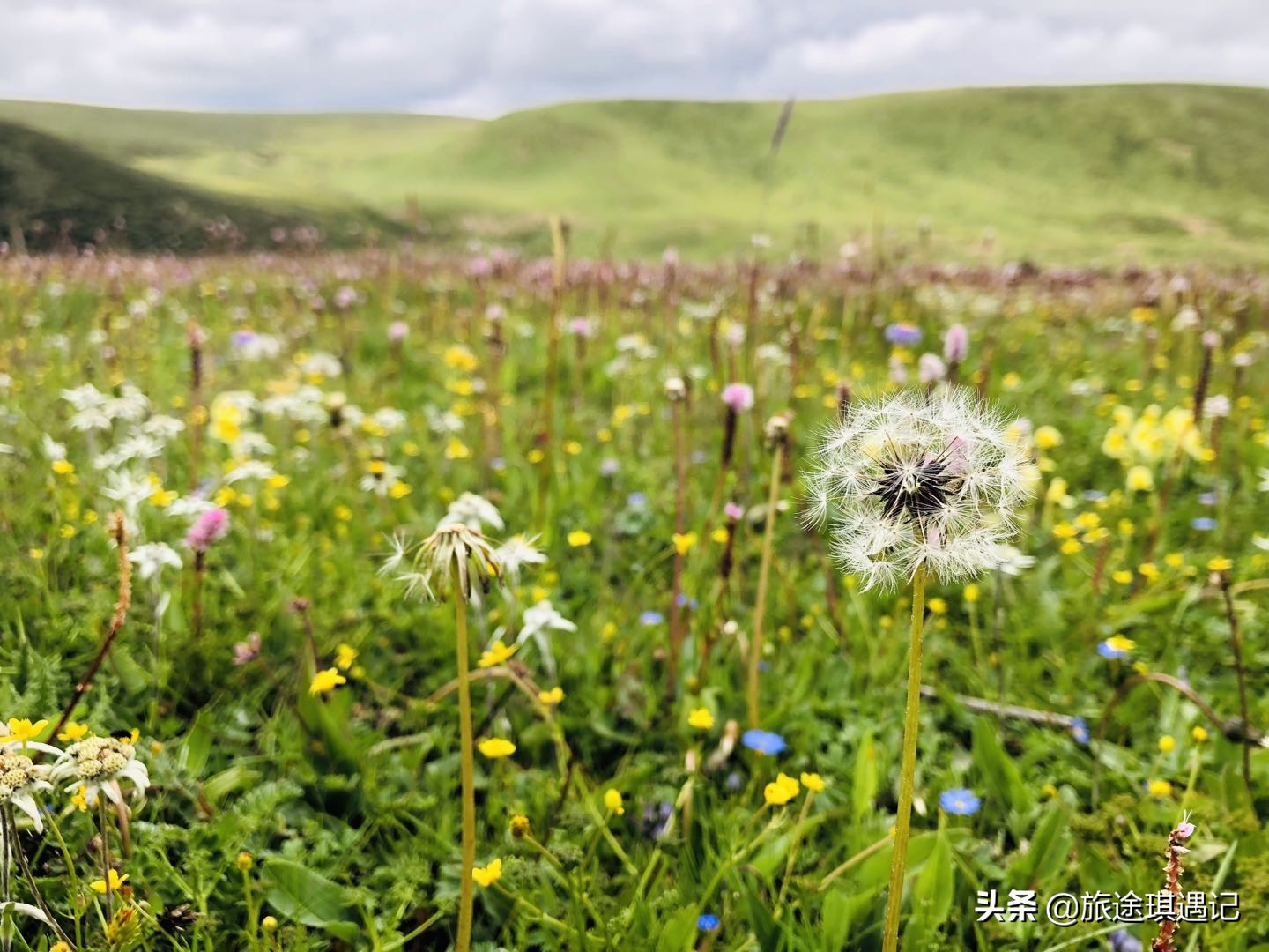 318国道什么时候开始火热起来的 (国道318从哪里开始风景变好)
