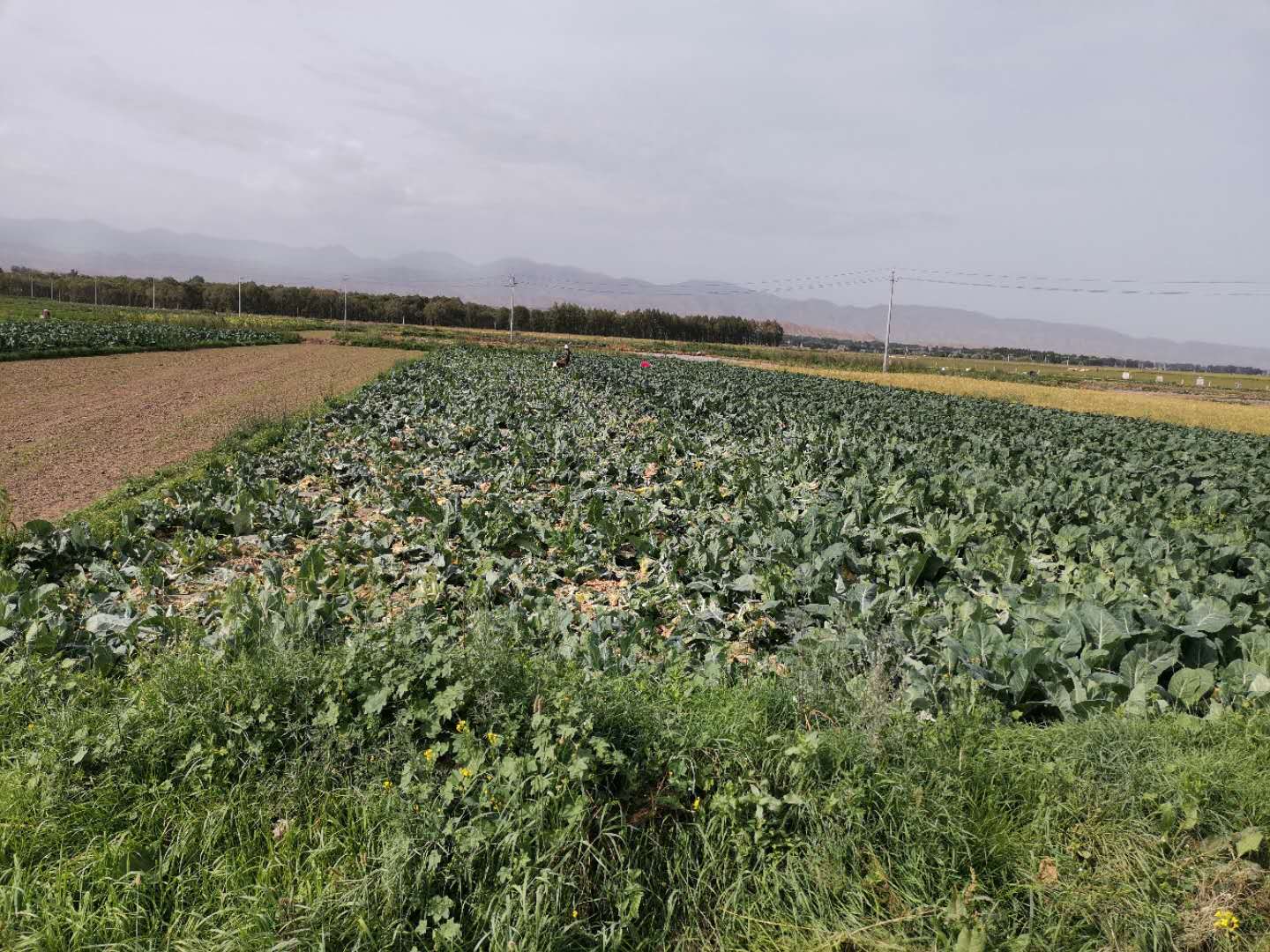 鬼哥的五万里D19金昌市永昌县-张掖市山丹县