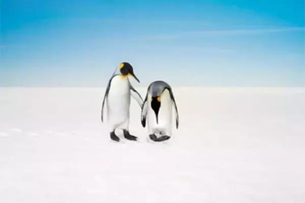 餐厅服务技巧话术,餐厅贴心细节