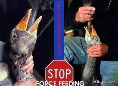 为什么鸭肝没有鹅肝出名,鹅肝却成为一种顶级食材