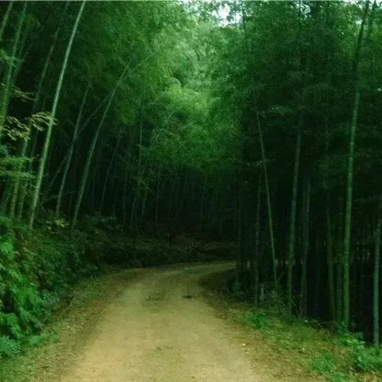 东钱湖徒步路线哪条最美,东钱湖附近有哪些免费古道