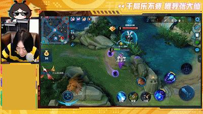 打游戏心态崩了怎么办张大仙,打游戏充钱上瘾怎么解决