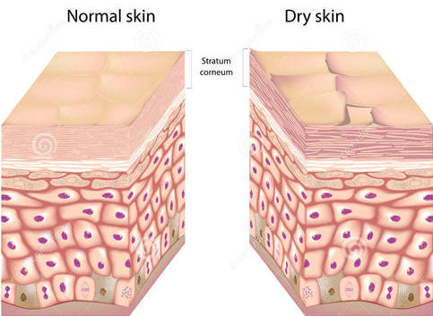 闂鸿湝绉佽棌娲侀潰娓呭崟,闂鸿湝娲侀潰蹇呭娓呭崟