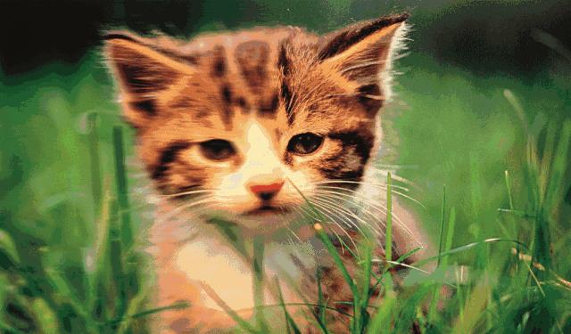 一只眼睛近视怎么解决,一只眼睛近视该怎么办