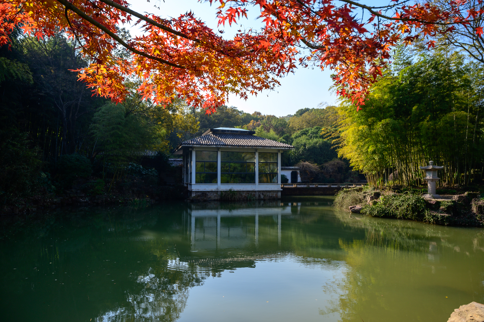 江苏具有发展潜力的城市,江苏最有发展潜力的几个县
