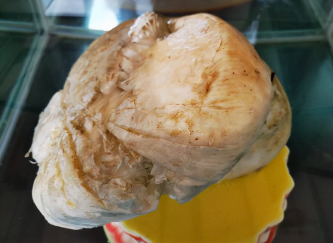 捡到200多斤的太岁能卖多少钱,1斤能卖150万的太岁