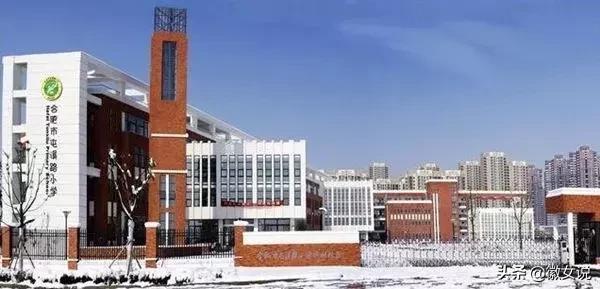 合肥优质小学排名,合肥小学排名100强一览表