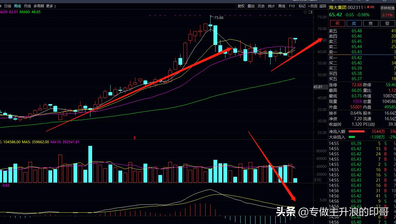 农林牧渔板块今日分析报告汇总,农林牧渔板块走强巨星农牧领涨