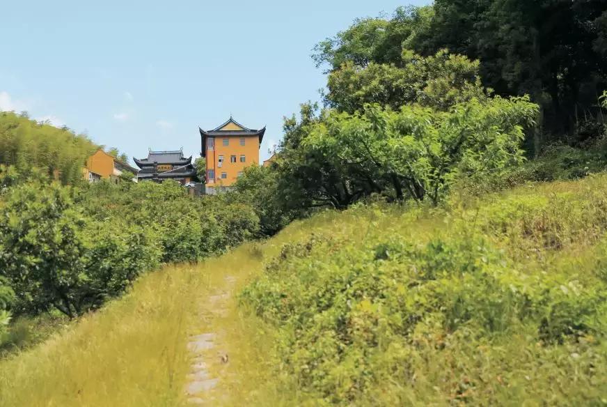 重阳登高观美景视频,重阳登高爬山视频