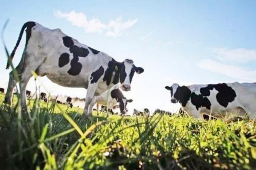 最新15种奶粉质量不合格,哪个品牌的洋奶粉不合格