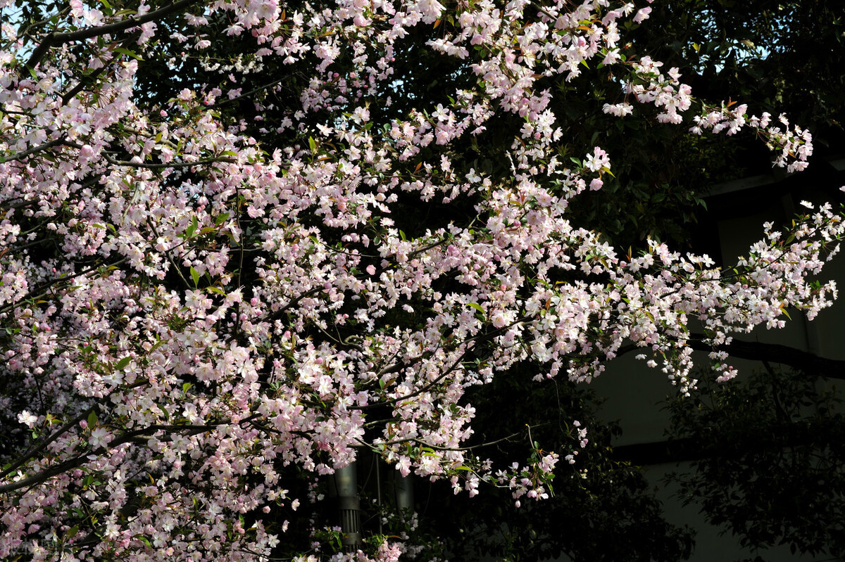 为什么父母和子女难以沟通,跟父母越来越难沟通怎么办