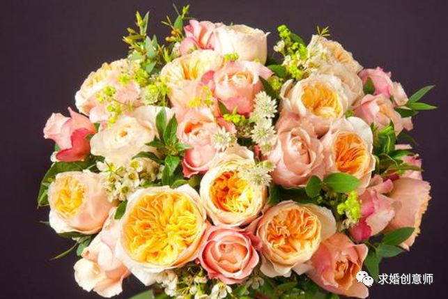 生日送花送什么花合适表达爱意,求婚送花送什么花合适