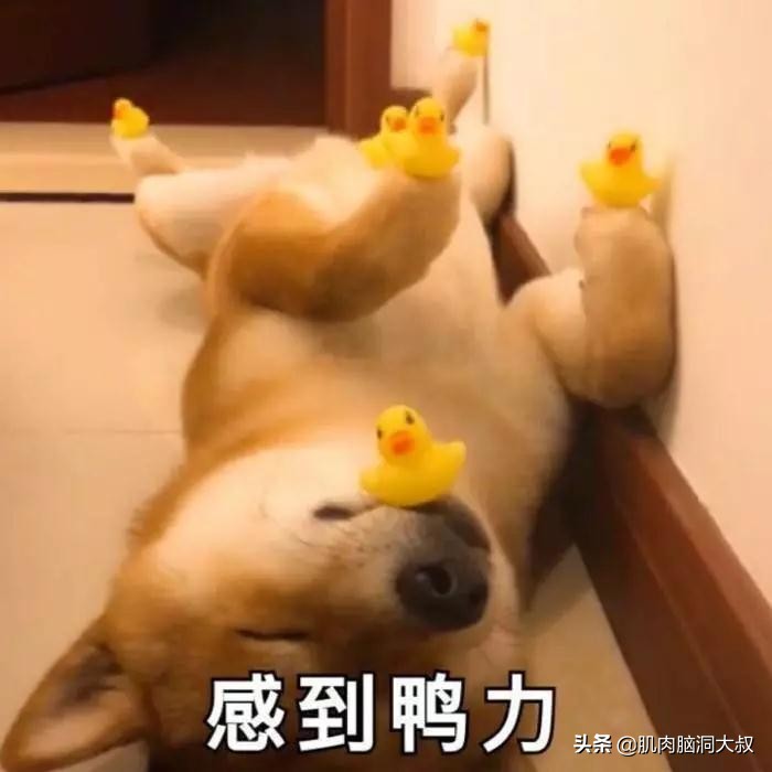 国产手机排行榜前十名vivo,华为freebuds4i和vivotws2哪个好