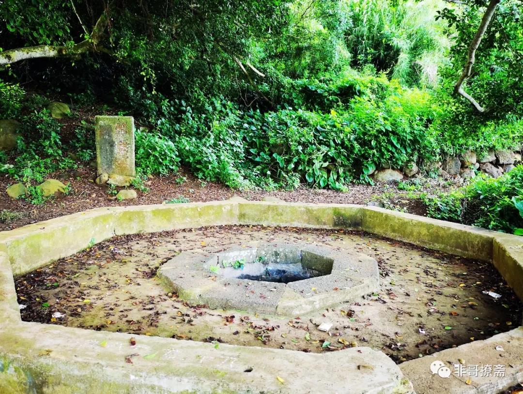 湛江游玩打卡攻略路线,湛江行程攻略