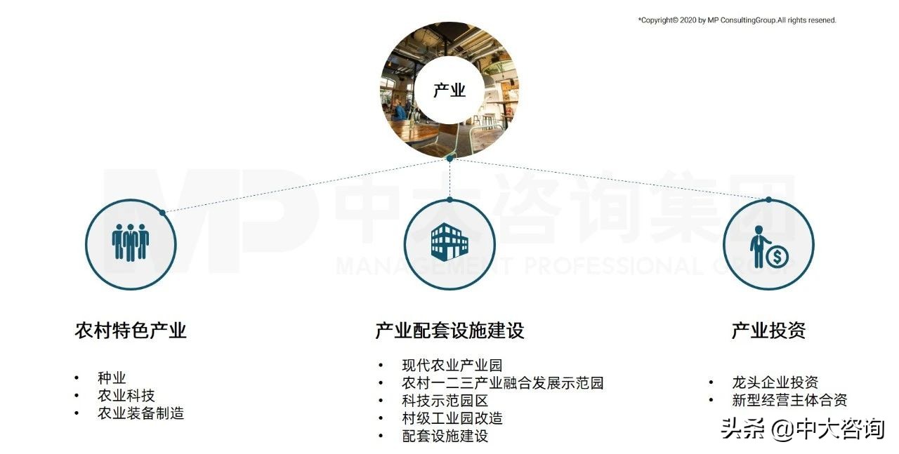 中大咨询：全面推进乡村振兴，平台公司这么干