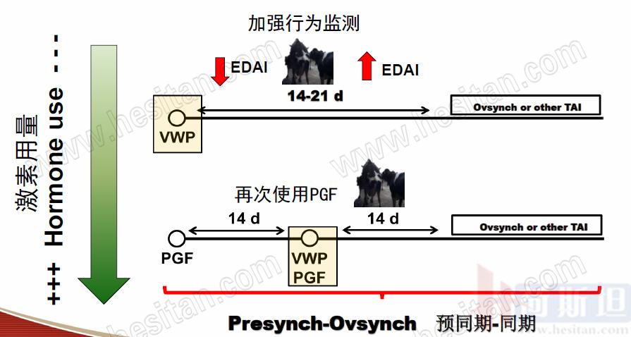 康奈尔大学JulioGiordano:如何通过技术整合优化繁殖性能