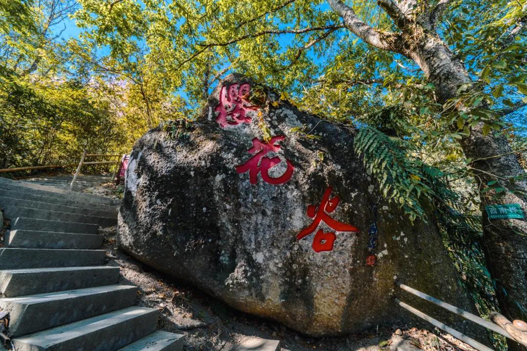樱花烂漫温泉,腾冲樱花谷风景区