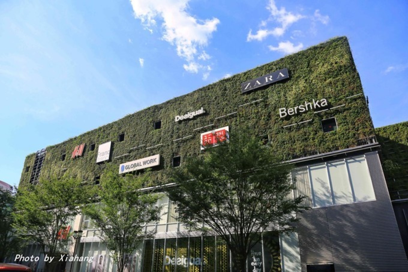 皇家加勒比选哪条航线,皇家加勒比海洋航线