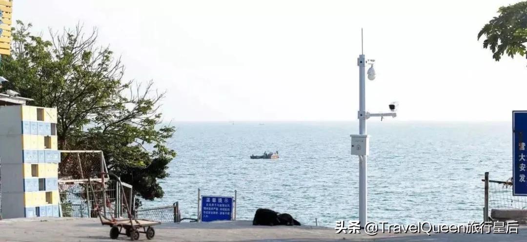 动物森友会无人岛一天可以去几次,动物森友会所有虫类图鉴