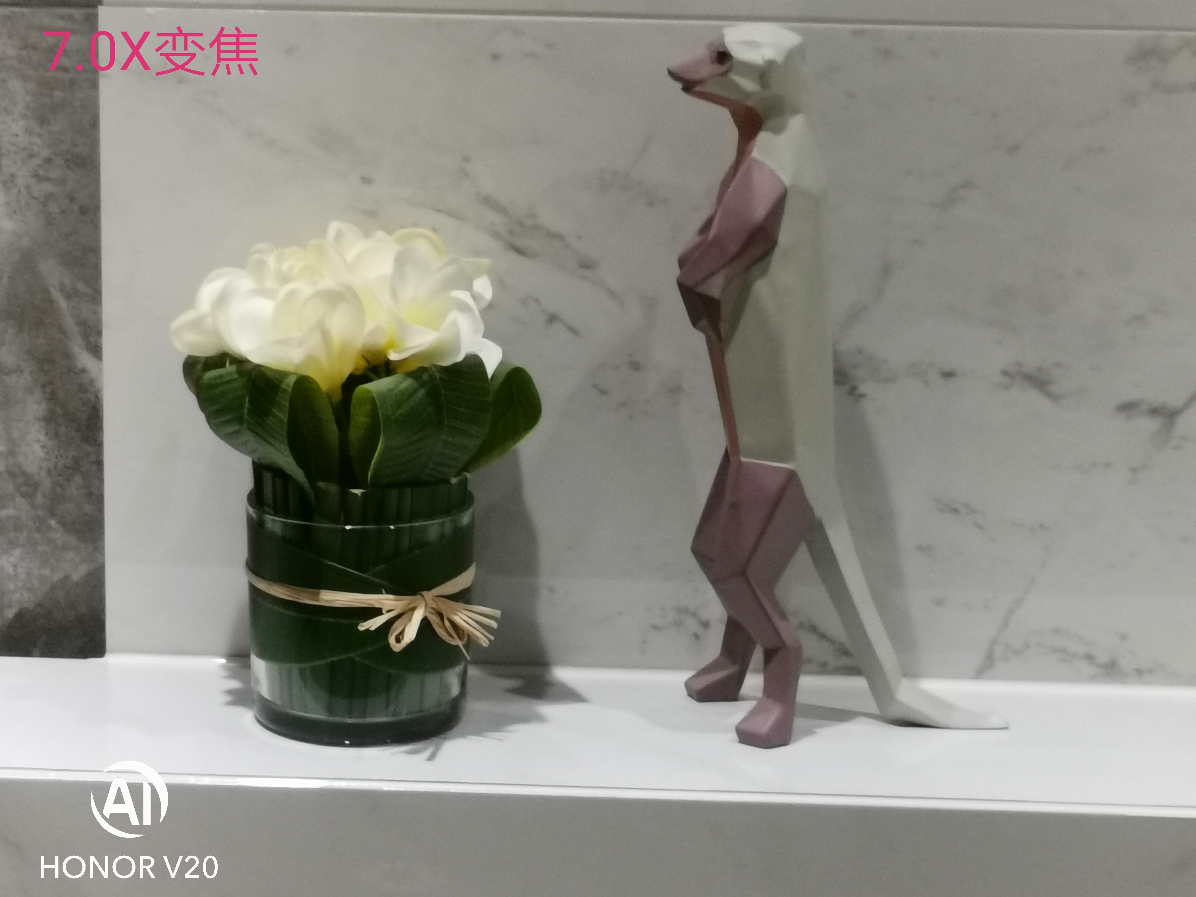 荣耀v20有哪些拍照功能,荣耀v20有什么有趣的拍照功能