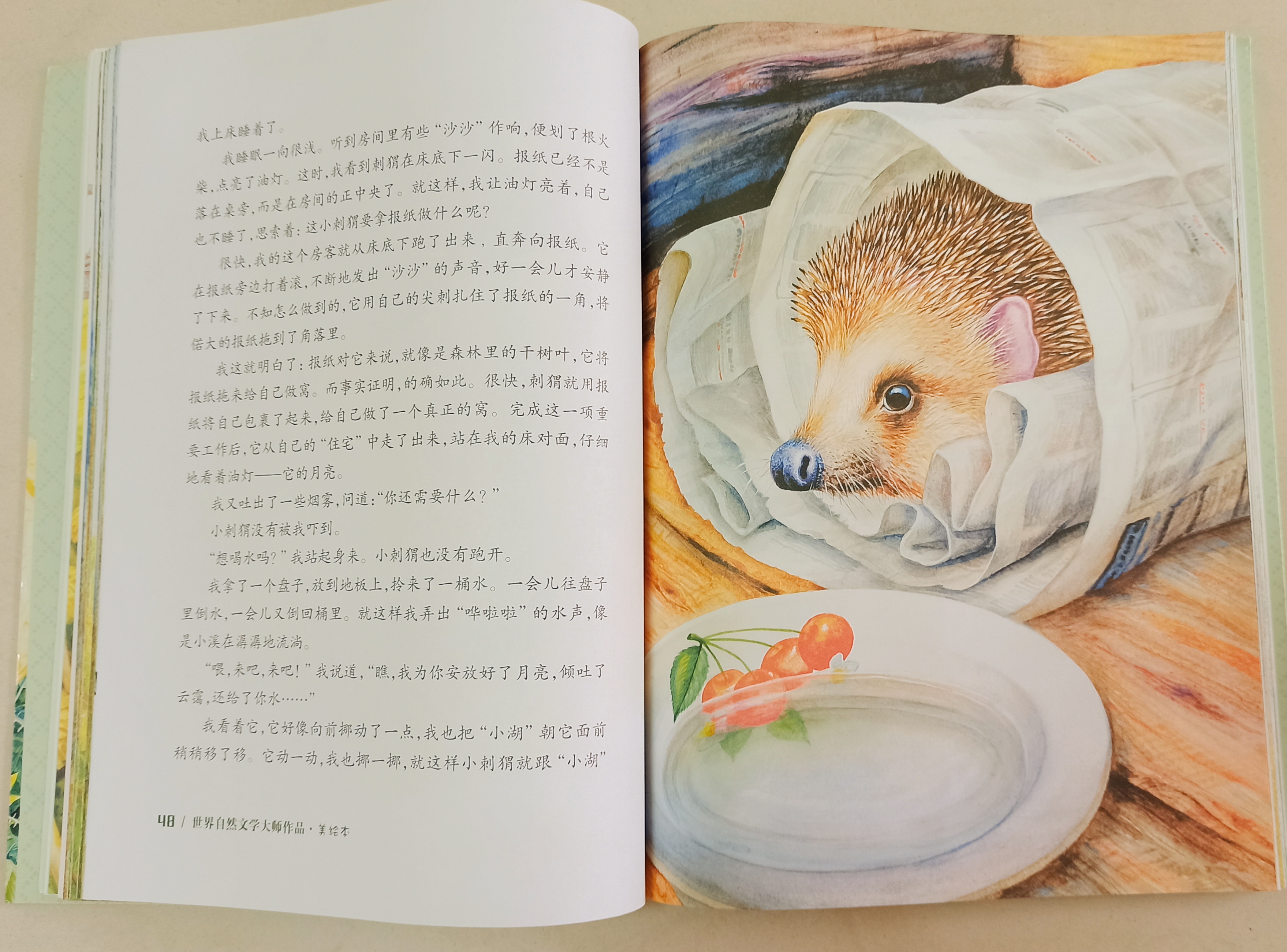 月光下的刺猬，那是儿时的纯真