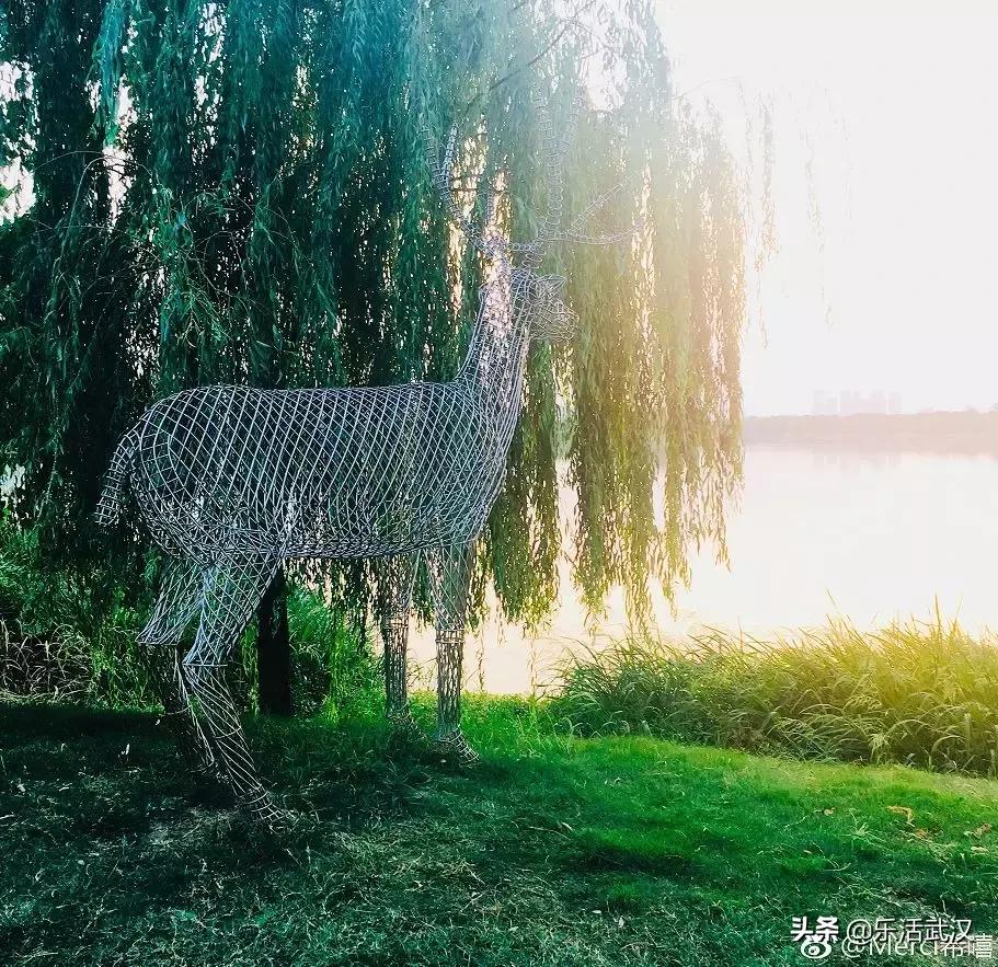 原来武汉有这么多好玩的打卡地,武汉周边新晋7大网红打卡地