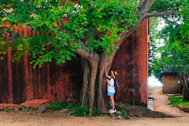 广东湛江旅游攻略赶海,湛江海边旅游攻略推荐地方