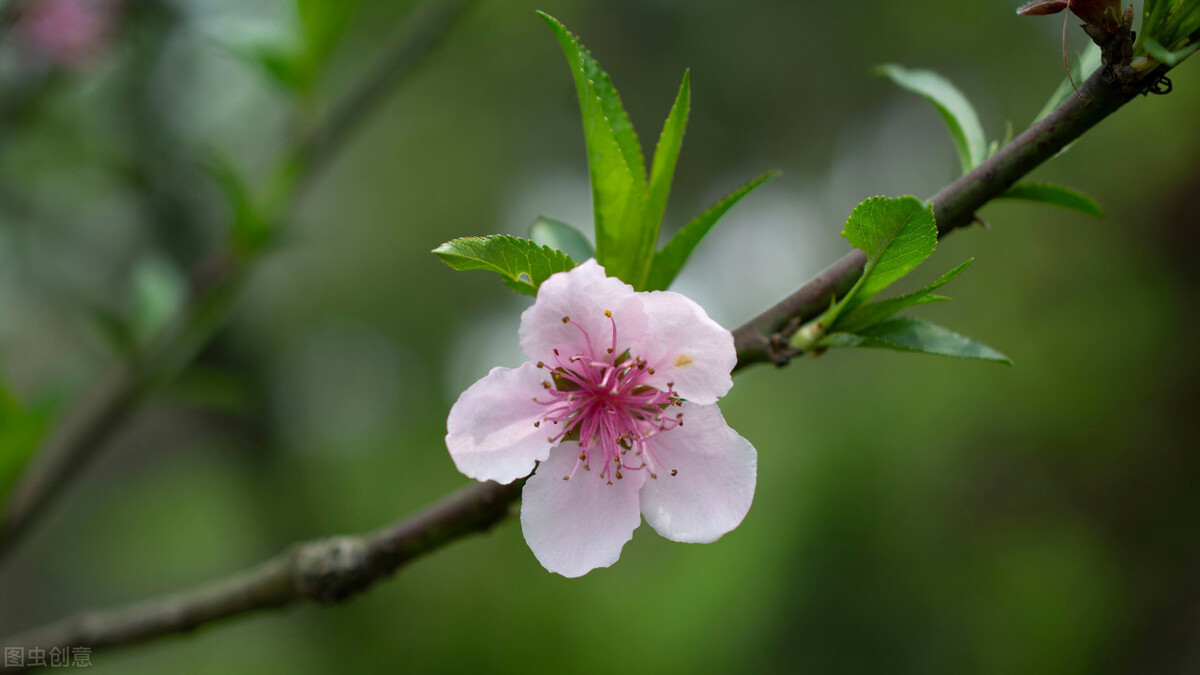 述职报告,转正述职报告
