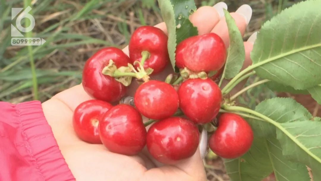昆明五一周边旅游推荐,昆明周边五一好去处