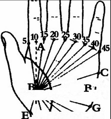 生命线寿命算法,生命线末端分叉呈鱼形状算命图解