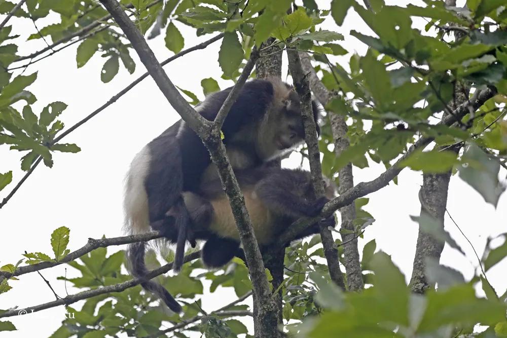 情人节，就该和爱的人*爱做**做的事