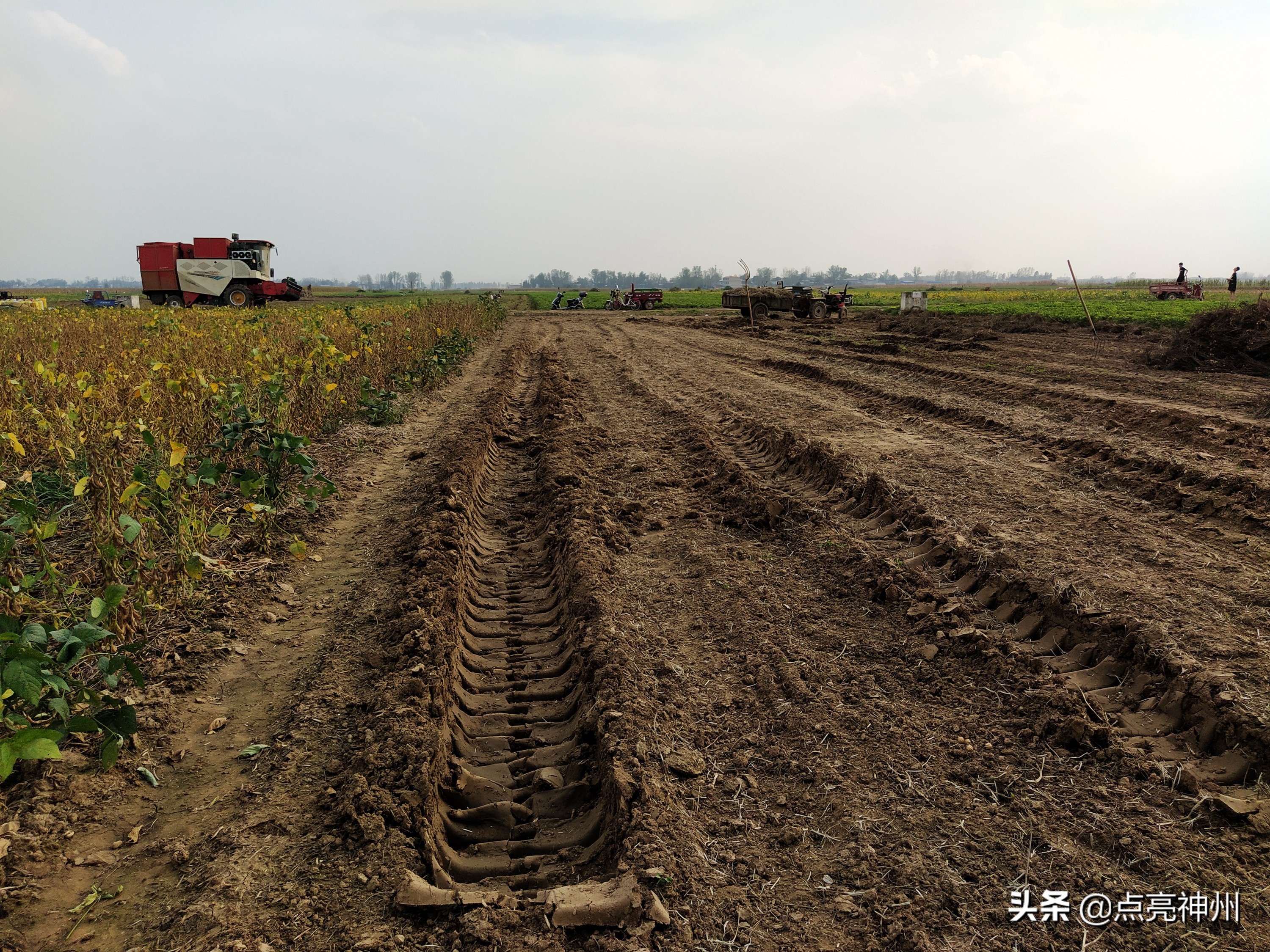 农村收花生的辛苦,下乡收花生挣钱吗