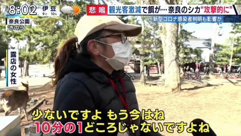 因疫情影响旅游,受疫情影响的日本旅游业