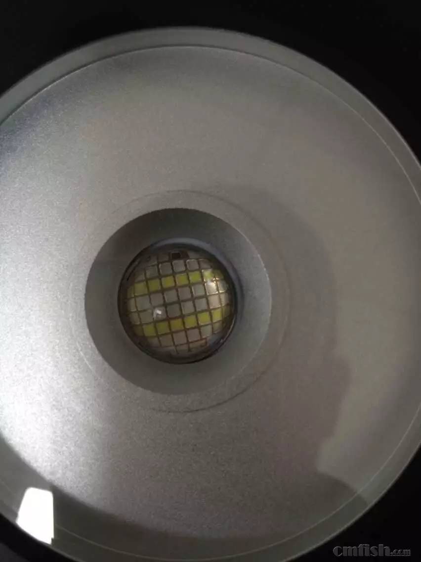 KELO钜彩照明LED水族灯试用活动鱼友评测详情（二）