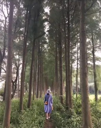 花了二十万做的装修设计,花了20万装修成自己梦想的样子