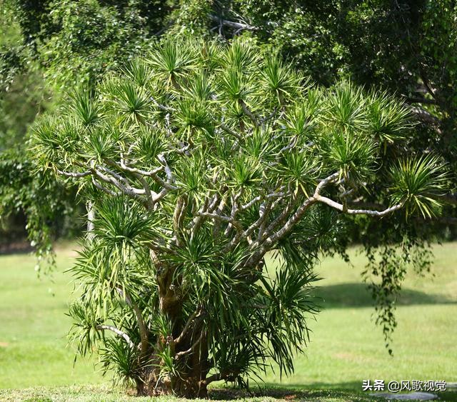 三亚南山寺的传说,三亚南山简介和历史