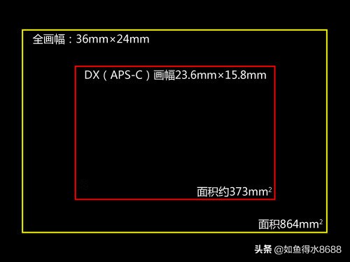 摄影新手入门相机操作简单,相机摄影入门基础知识教程图片