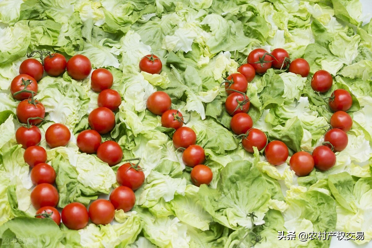 小投资创业开店做什么项目好,小投资致富项目办什么厂投资小