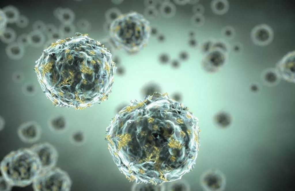 江苏的海鲜安全吗,江苏食品违法案例