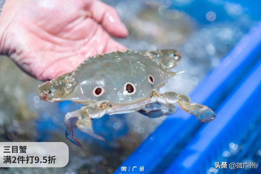 那些住进盒区房的广州人，现在怎么样了？