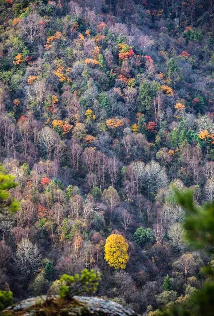 10月旅行地推荐最适合初秋出游,10月最适合慢慢旅游的地方