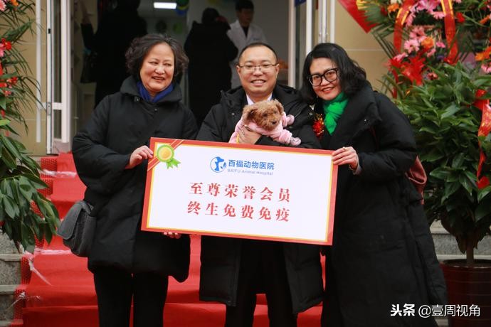 廊坊人自己的平价动物医院—百福动物医院正式开业