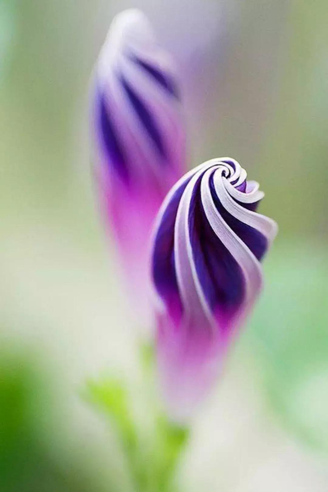 小蛮腰衣架设计图片,小蛮腰套衣架