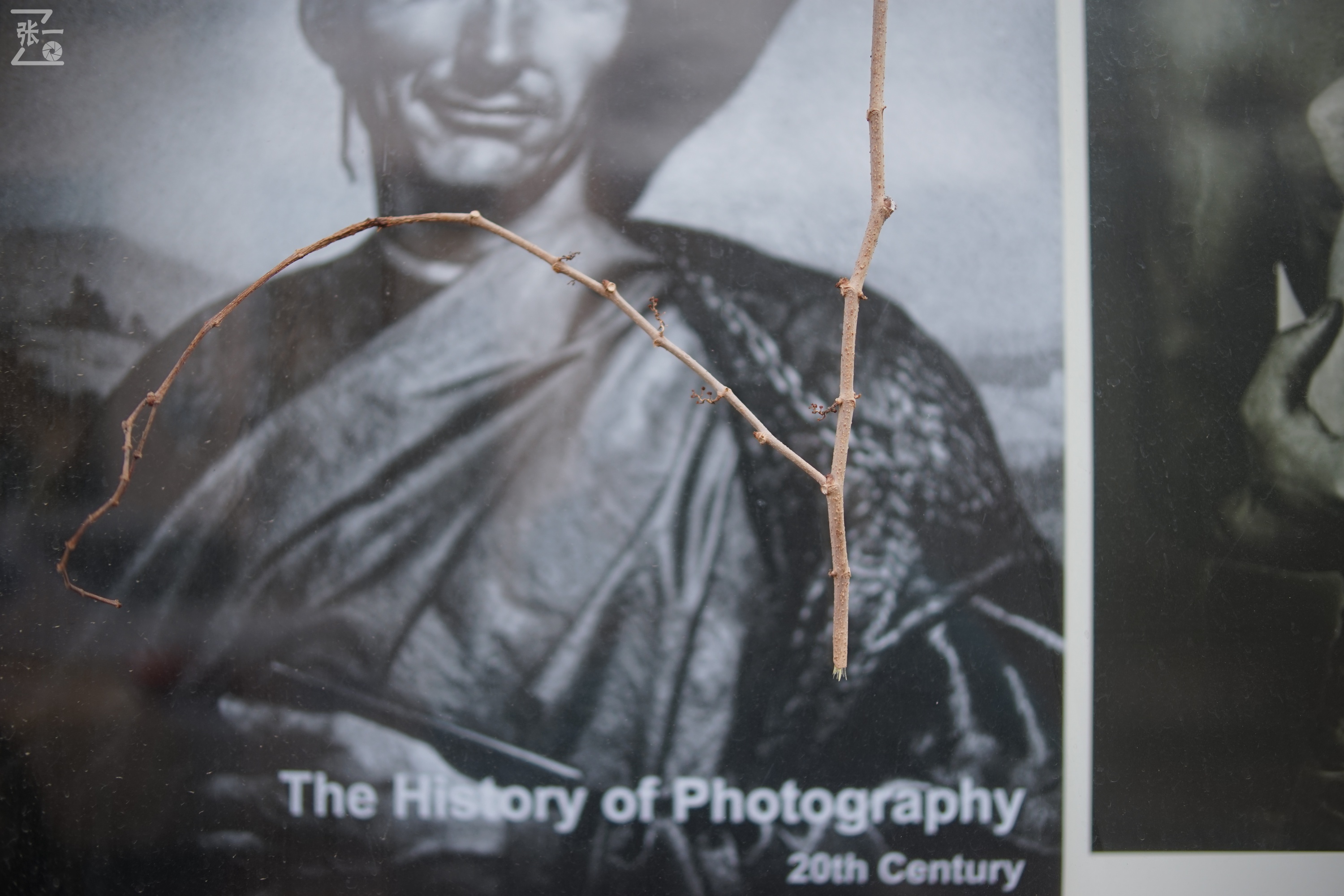 国产中一光学35/2镜头+索尼微单实拍北京798艺术区