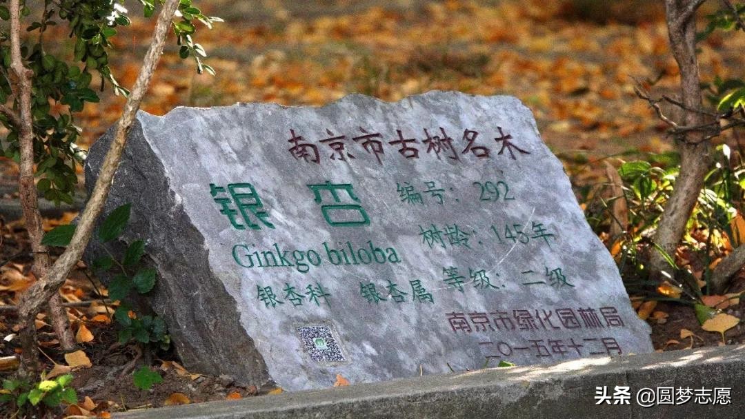 南京师范大学要多少排名才能进,南京师范大学被人认可吗