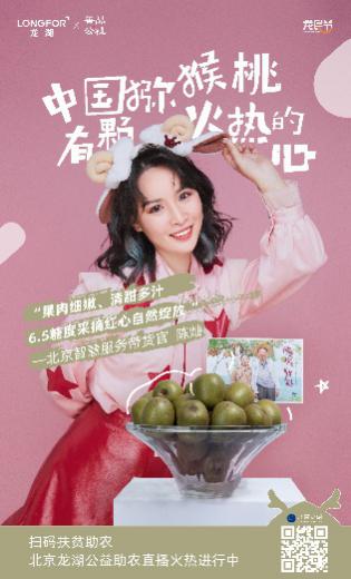 龙湖龙民节凝聚龙民心,龙湖龙民节公益