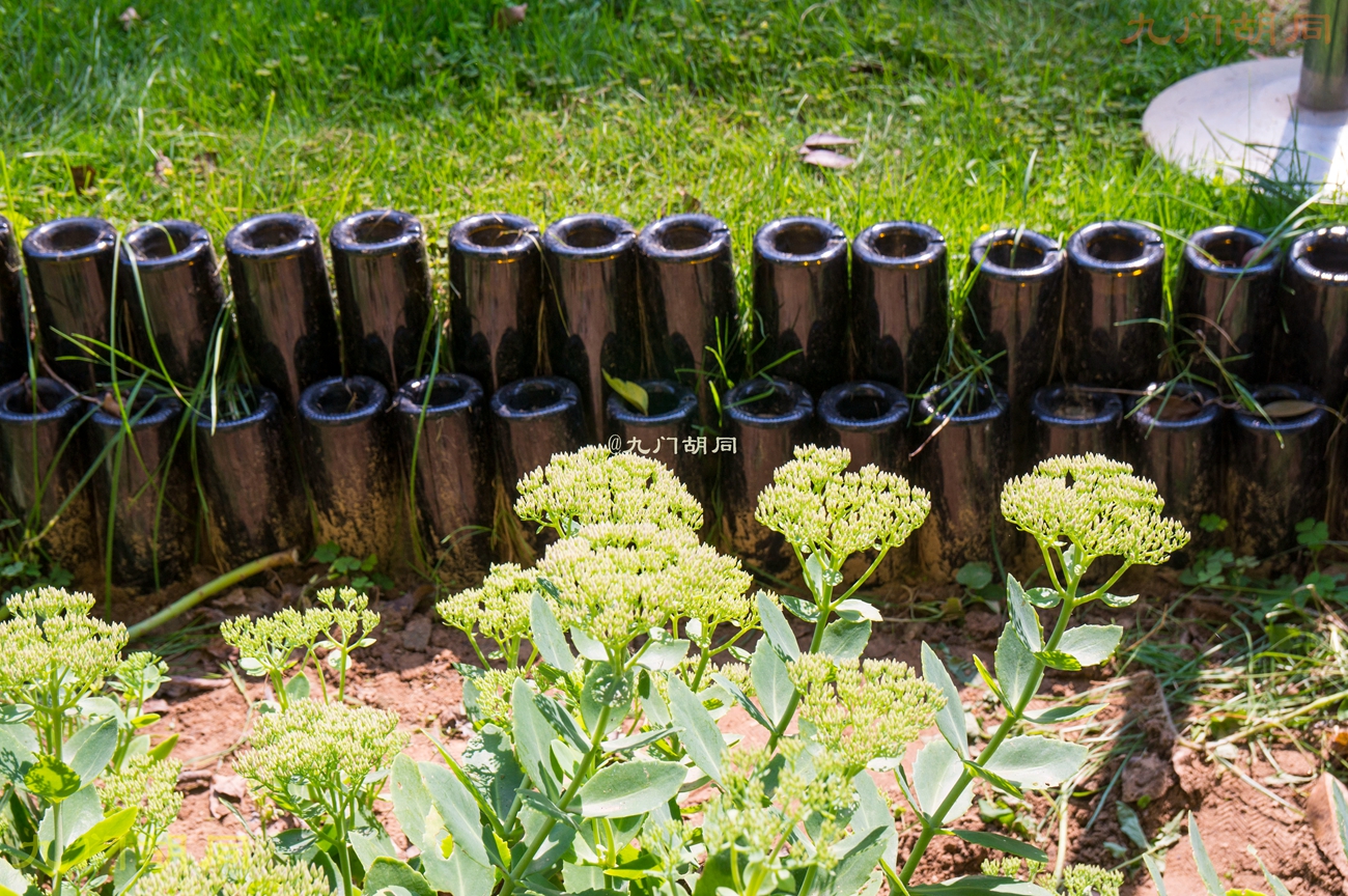 北京密云张裕爱斐堡酒庄一日游,密云张裕爱斐堡酒庄好玩吗