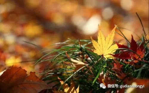 前半生拼命后半生治病,前半生玩命挣钱后半生用钱续命