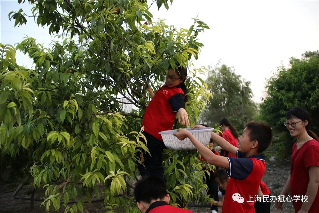 【扩散】一张一驰，文武斌心——民办斌心学校2020招生公告